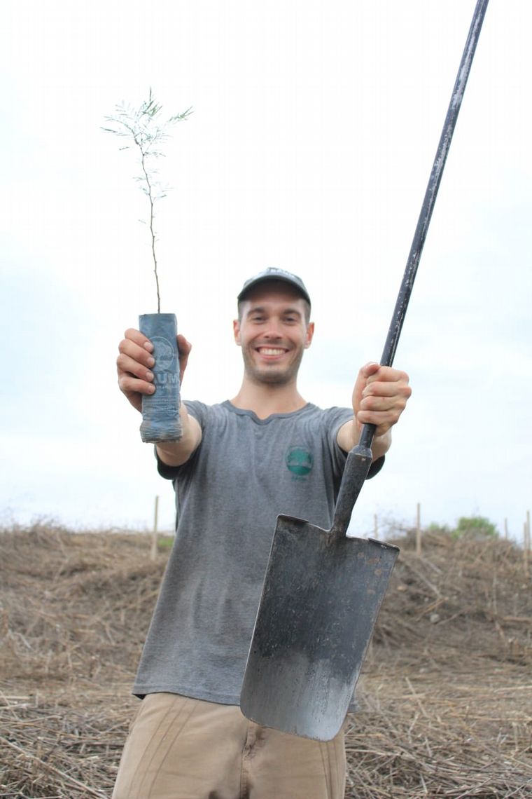 Baum busca recuperar el déficit de arbolado público. 