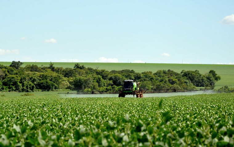 El coadyuvante es un aliado clave del fitosanitario para que éste rinda mejor