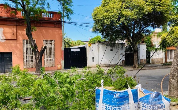 Rosario: más de 70 reclamos por caídas de árboles y ramas por fuertes vientos.