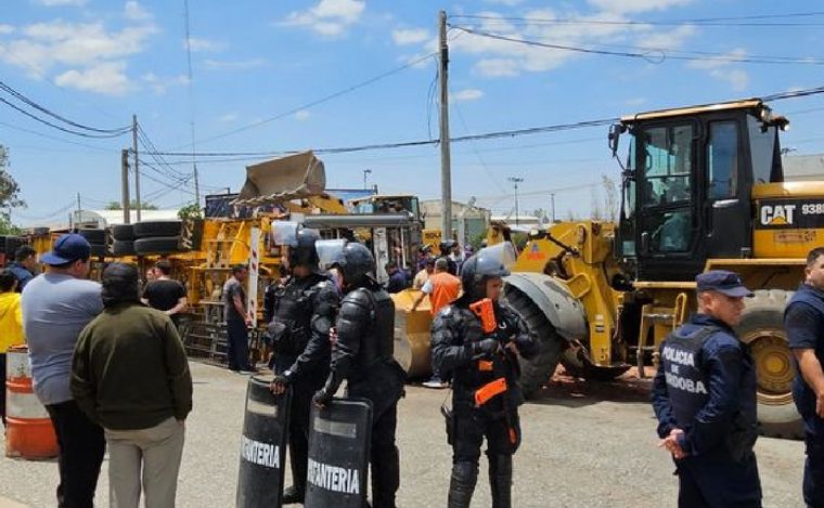 Jesús María: volcó un camión que llevaba cerdos y robaron a los animales vivos.