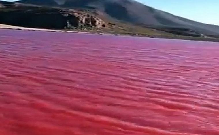 FOTO: Las aguas del Nilo se tiñeron de rojo y sorprendieron al mundo.