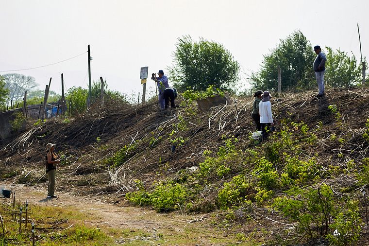 Junto a BAUM, Holcim plantó 1.300 árboles en Jujuy.