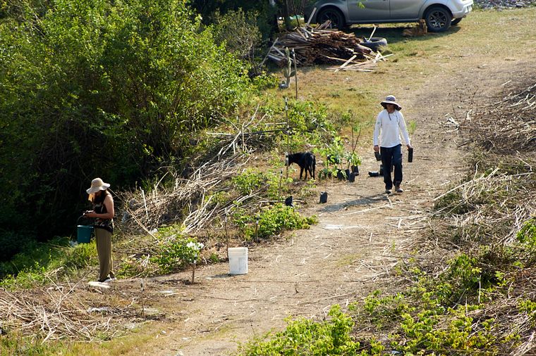 Junto a BAUM, Holcim plantó 1.300 árboles en Jujuy.