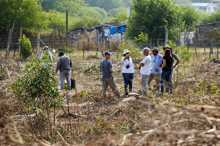 Junto a BAUM, Holcim plantó 1.300 árboles en Jujuy.