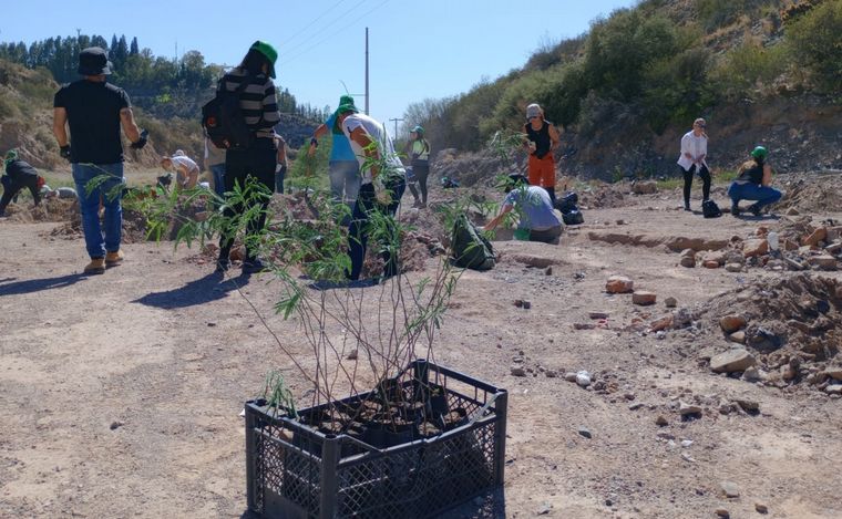 FOTO: Iniciativa medioambiental en Mendoza: Baum y Holcim plantaron 700 árboles.