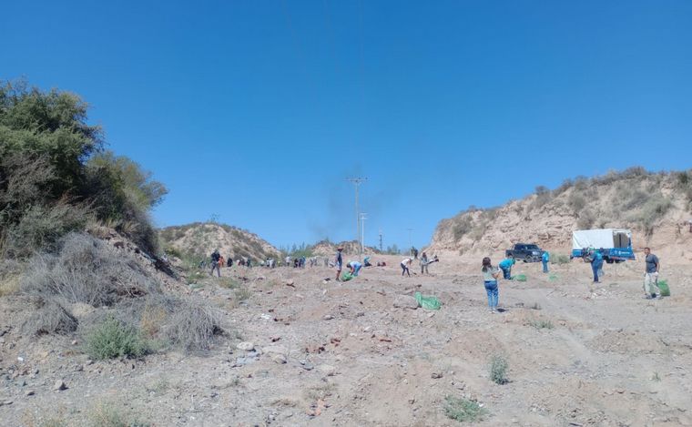 Iniciativa medioambiental en Mendoza: Baum y Holcim plantaron 700 árboles.