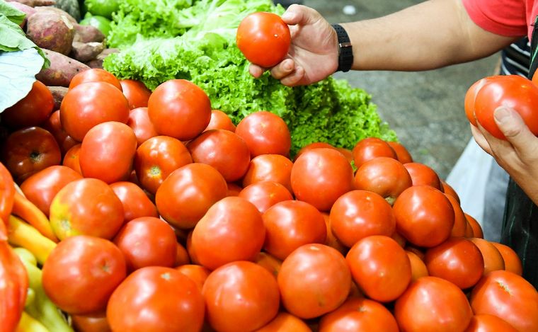 FOTO: Fuertes subas del precio del tomate en el país. (Foto: NA)