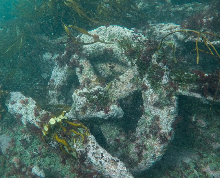 FOTO: Campaña Mar de Historias: valorar el patrimonio subacuático es la consigna