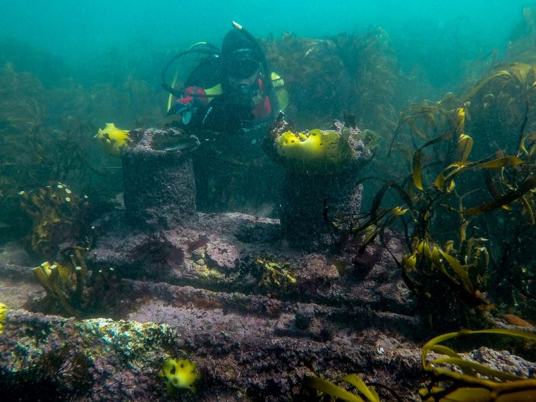 FOTO: Campaña Mar de Historias: valorar el patrimonio subacuático es la consigna