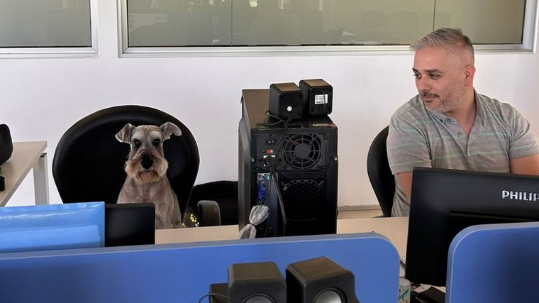 FOTO: En el Campus Virtual de la UNC los empleados podrán llevar mascotas