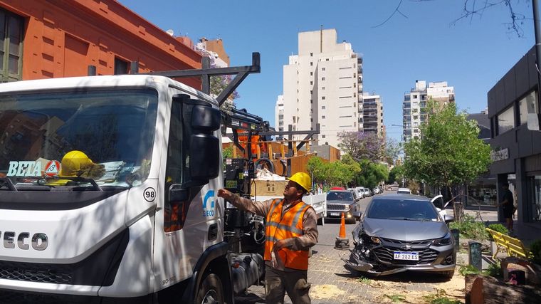 FOTO: Cayó un árbol de gran porte en barrio Güemes sobre dos vehículos