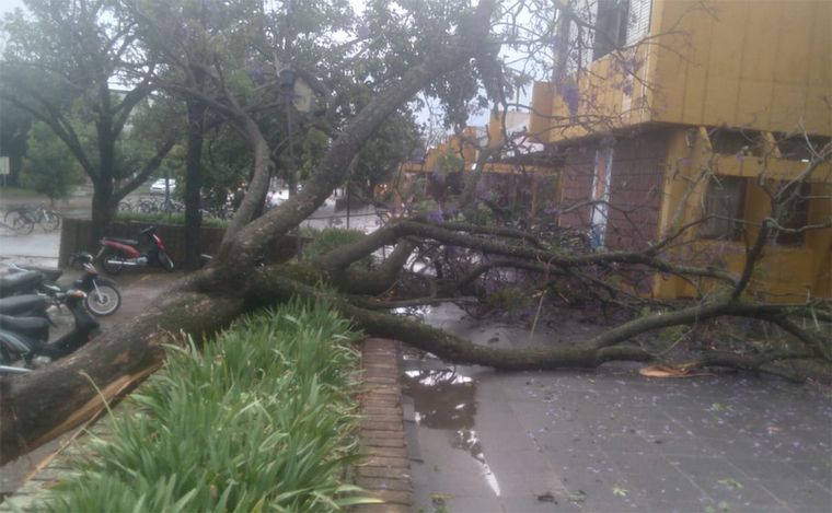 Temporal en Gran Santa Fe: calles inundadas, socavones y voladuras en casas.