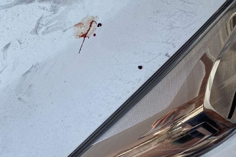 En el auto quedaron manchas de sangre.