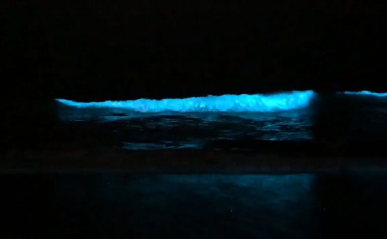 FOTO: Las luces que aparecieron en el mar de Pinamar y Villa Gesell. (Captura de video)