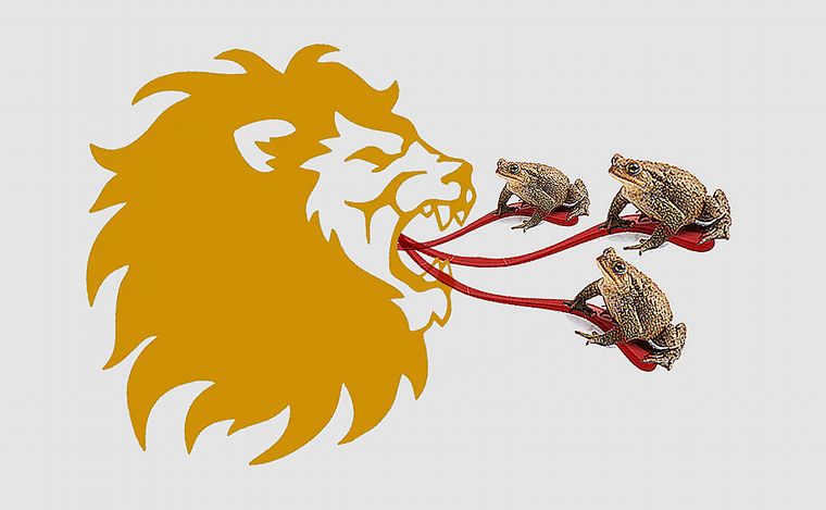 Fotoilustración: Juan Pérez Gaudio.