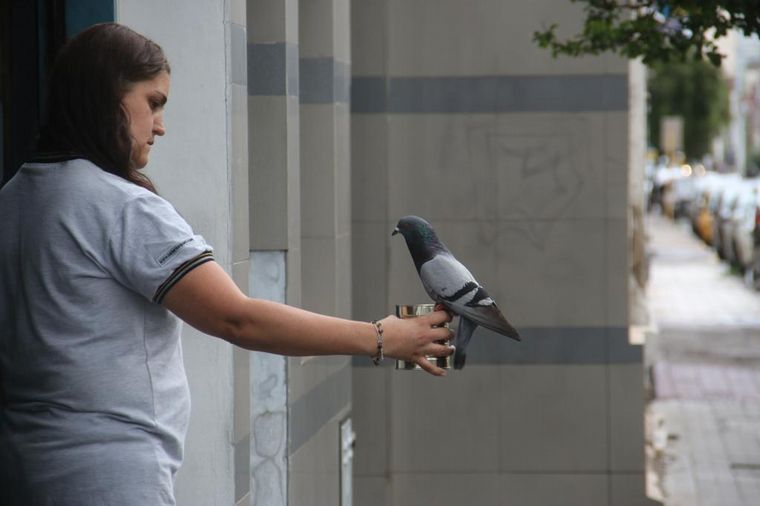 Griselda y sus amigas emplumadas.