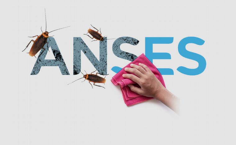 Juan Pérez Gaudio/Cadena 3.