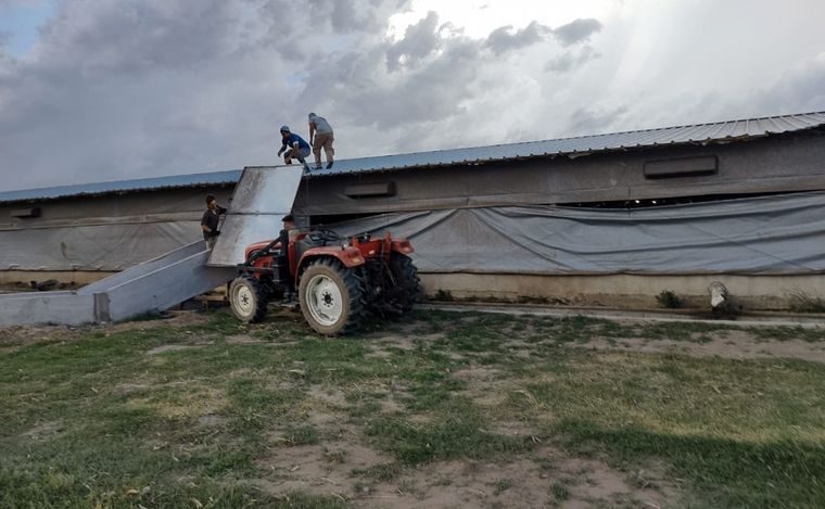 FOTO: Un tornado azotó la misma granja del sur cordobés tras 2 años: daños millonarios.