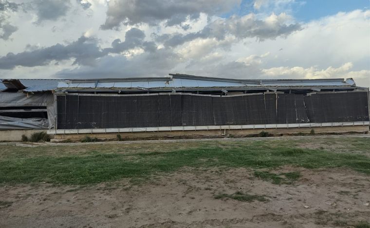 Un tornado azotó la misma granja del sur cordobés tras 2 años: daños millonarios.