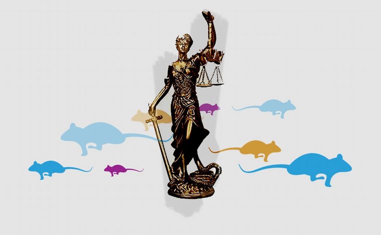 El bochorno de las Levid (Fotoilustración: Juan Pérez Gaudio)