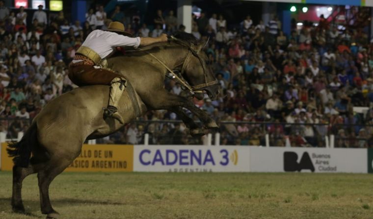 Encefalomielitis equina: garantizan la realización del Festival de Jesús María.