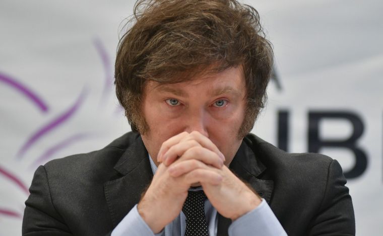 Javier Milei, presidente electo. (Foto: NA)