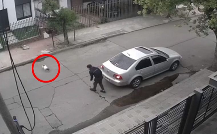 Fotoilustración: Juan Pérez Gaudio.