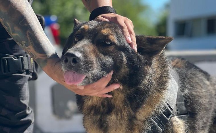 Ursus se jubila luego de ocho años de trabajo en la Policía de Córdoba.