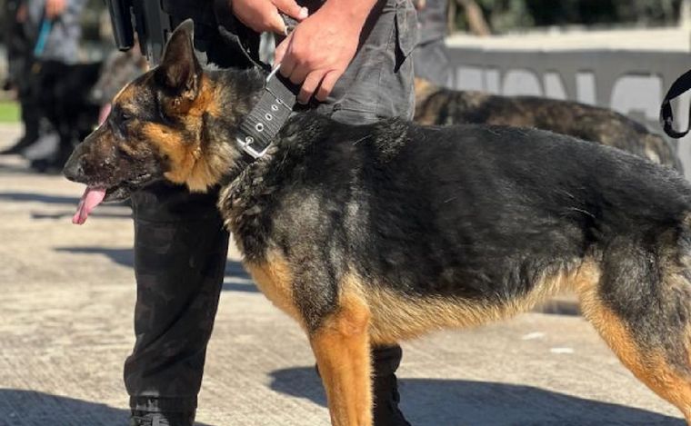 Ursus se jubila luego de ocho años de trabajo en la Policía de Córdoba.