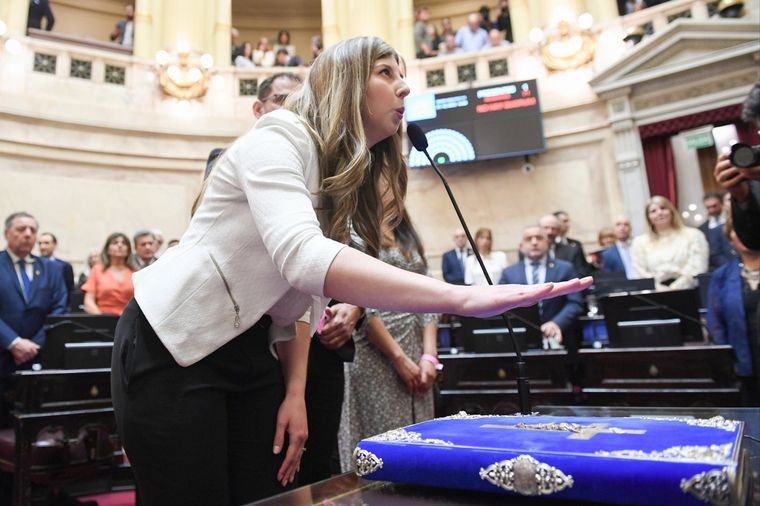 Prestaron juramento los nuevos senadores que se sumarán a la Cámara alta.