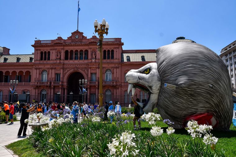 Militantes de Milei pusieron color en las afueras del Congreso y la Casa Rosada.