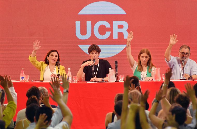 FOTO: Martín Lousteau fue electo nuevo presidente de la UCR.