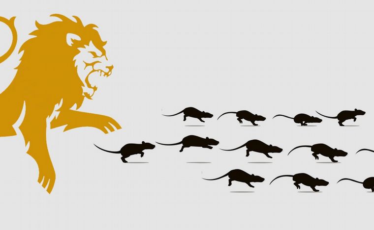 Fotoilustración: Juan Pérez Gaudio.