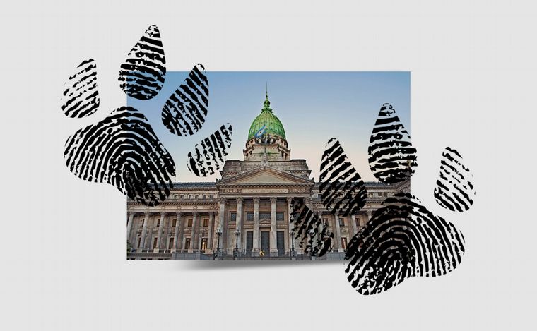 Fotoilustración: Juan Pérez Gaudio.