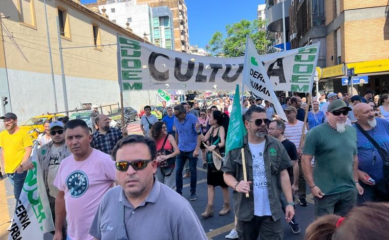 Marcha del Suoem por las calles de Córdoba. (Foto: Daniel Cáceres/Cadena 3)