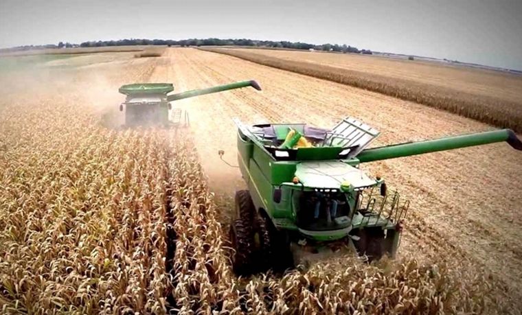 FOTO: El maíz, el trigo y la soja con las nuevas medidas siguen sufriendo retenciones.. 