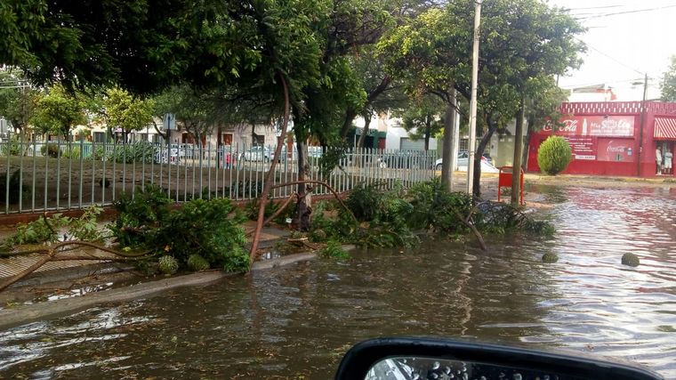 Fuertes ráfagas de viento provocaron destrozos y una persona lesionada 