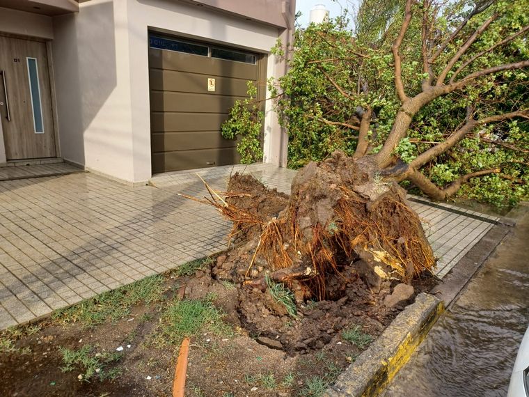 Fuertes ráfagas de viento provocaron destrozos y una persona lesionada 