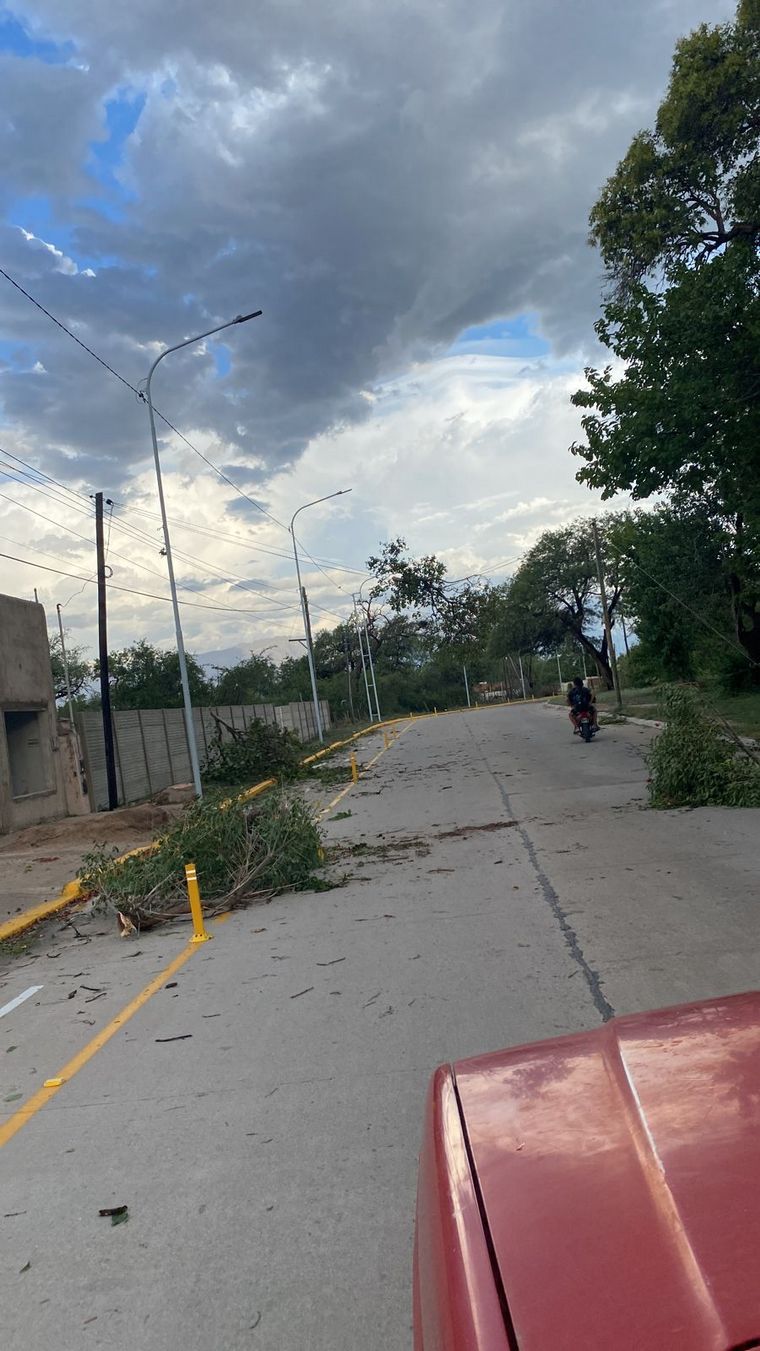 Fuertes ráfagas de viento provocaron destrozos y una persona lesionada 