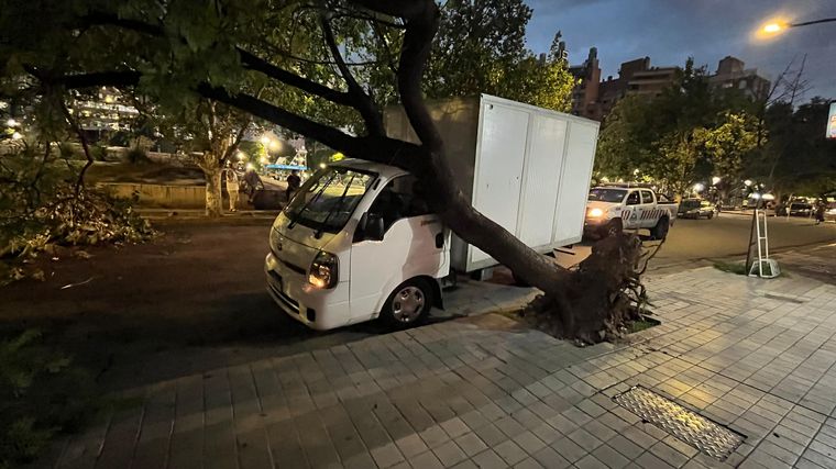 Cayó un árbol de gran tamaño sobre un camión en pleno centro de Córdoba