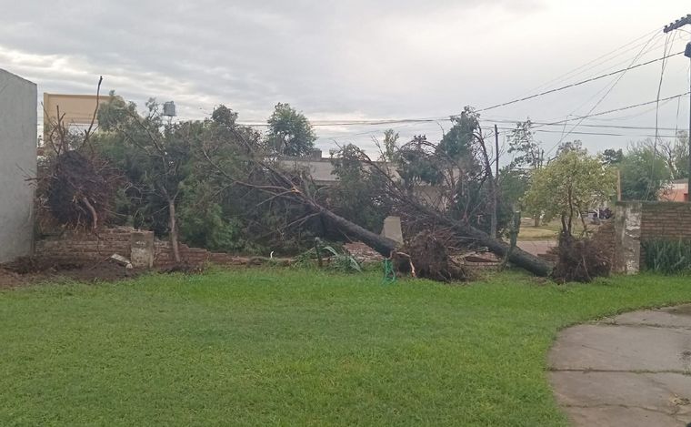 Feroz temporal en Sunchales.