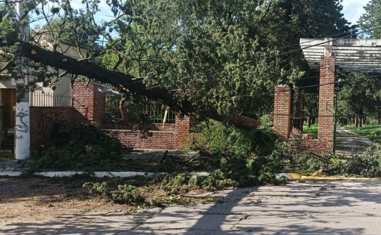 Lo que dejó el temporal en Alta Gracia.