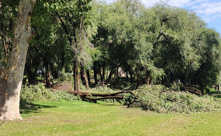 Lo que dejó el temporal en Alta Gracia.