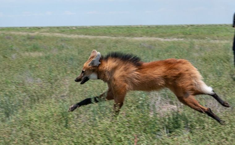 Gobierno de Córdoba.