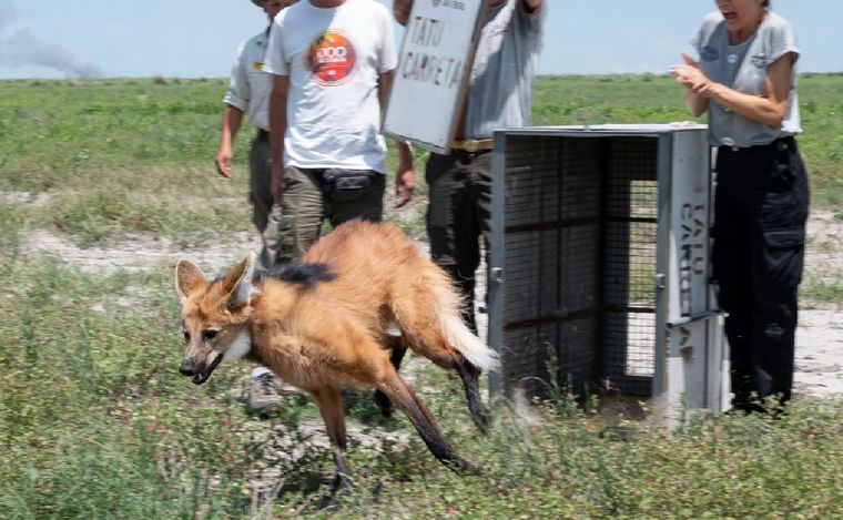 Gobierno de Córdoba.