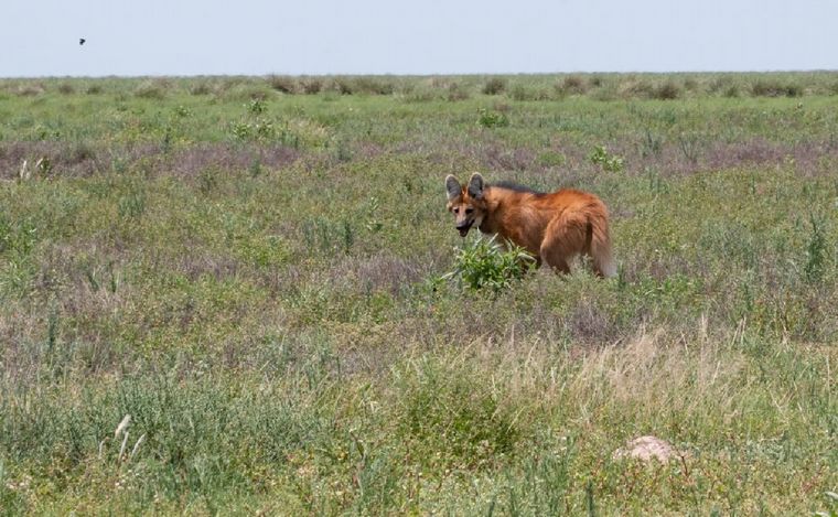 Gobierno de Córdoba.
