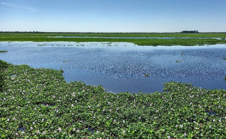 Complejo de cabañas 