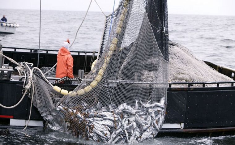 FOTO: Denuncian que la actividad pesquera argentina está en riesgo.