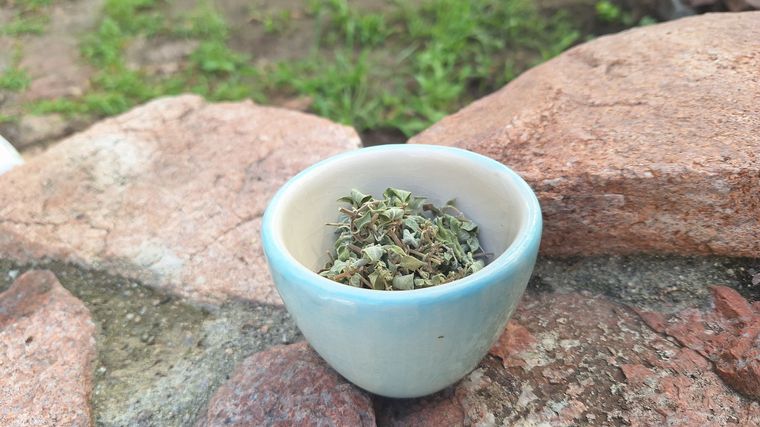 Salsipuedes, entre el cielo y las tres Marías