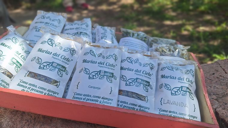 Salsipuedes, entre el cielo y las tres Marías